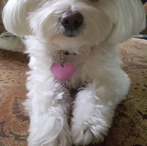 Meet your Posher, Maria - Picture 1 of 1